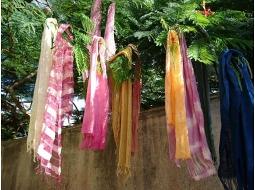 [Okinawa, Nakijin Village] Textile dyeing experience Botanica Let's make your own original "shawl"! Beginners can rest assured with careful support!の画像