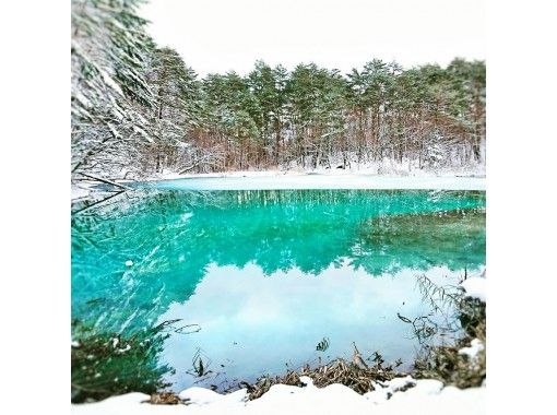 福島/會津/裡磐梯]兩手空空！ 「穿越神秘森林！！五色沼雪鞋漫步」 13