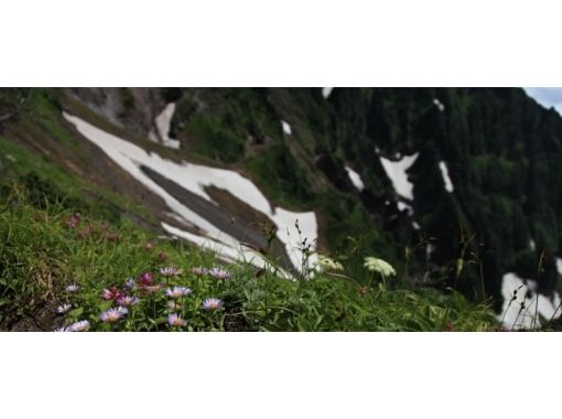【 홋카이도 ·이 시리 섬] 갈조류 자연 가이드 서비스利尻山종주 (오시도 마리 코스 ~沓形코스 · 상급자레벨 ) 플랜の画像