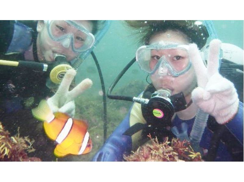 [Shizuoka Izukogen] 12:00 Experience Diving ★ Let's meet anemone fish ♪ Newbie welcome!