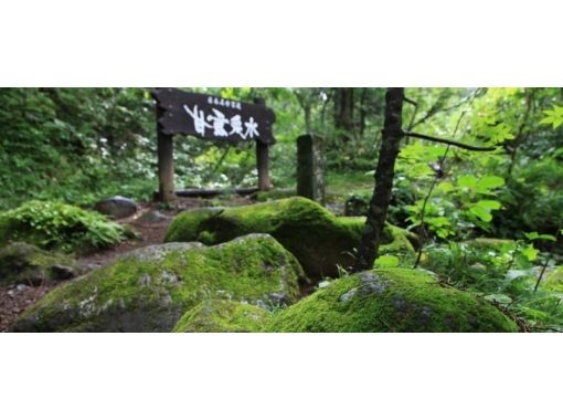 【Hokkaido · Rishiri Island】 Rishiri nature guide service · Rishiri Island 1 day treks (with lunch) planの画像
