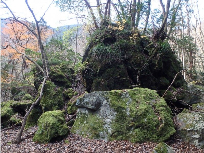 [Shizuoka/ Izu] Genkotsuyama's nickname "Yamanzan" Geo trekking with a Female guide!の紹介画像