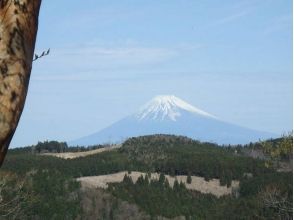 【静岡・伊豆】壮大なジオパークを目指せ! 海を育む豊かな森をトレッキングの画像