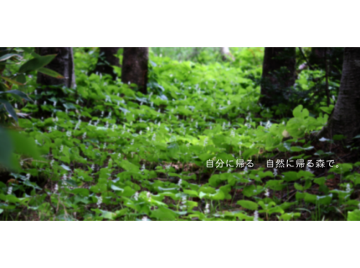 [ฮอกไกโดเกาะ Rishiri] Rishiri คู่มือธรรมชาติบริการ Rishiri เกาะ "พงษ์ภูเขา" แผนของการเดินป่าの画像