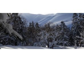 [北海道·利尻島】利尻自然導遊服務·利尻山雪上徒步隨著“一天”體驗計劃午餐の画像