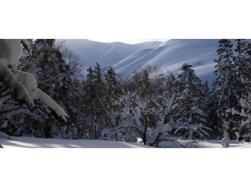 [北海道·利尻岛】利尻自然导游服务·利尻山雪上徒步“半天”体验计划の画像