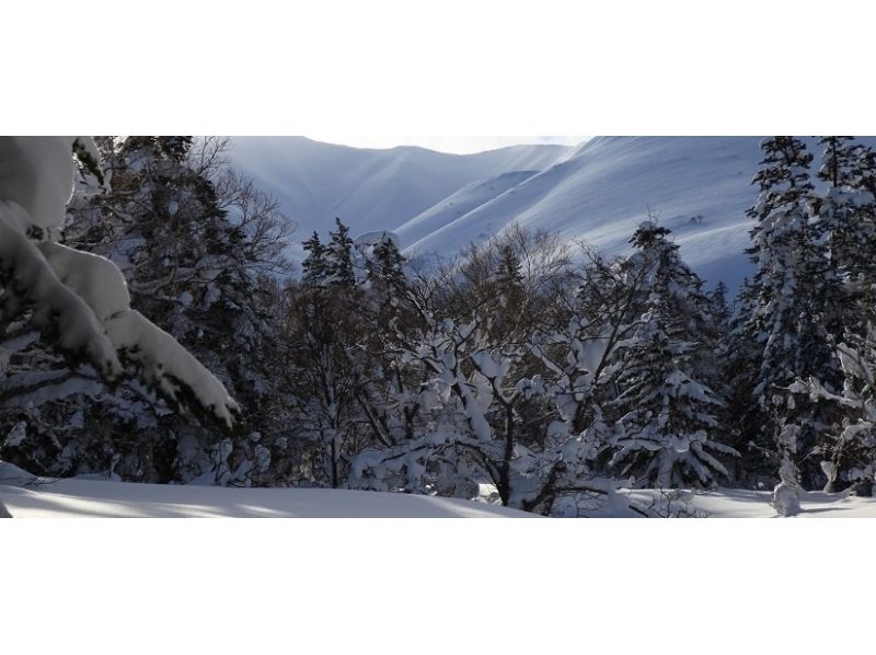 [ฮอกไกโด・ เกาะริชิริ】บริการนำเที่ยวธรรมชาติริชิริ ・ ภูเขาริชิริกิจกรรมเดินหิมะ(Snowshoes)แผนประสบการณ์ "ครึ่งวัน"の紹介画像