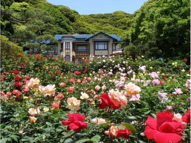 春バラ香る鎌倉文学館&洋館見学と旧吉田茂邸見学ツアー ~大磯プリンスホテルにてランチ~【9834】の紹介画像