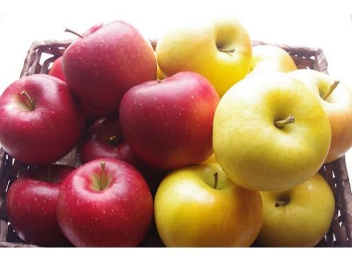 [ฟูกูชิม่า Nihonmatsu] <9 / 16-10 / 31 จัดขึ้น> การเก็บแอปเปิ้ลและ 60 นาทีทั้งหมดที่คุณสามารถกินแผนの画像