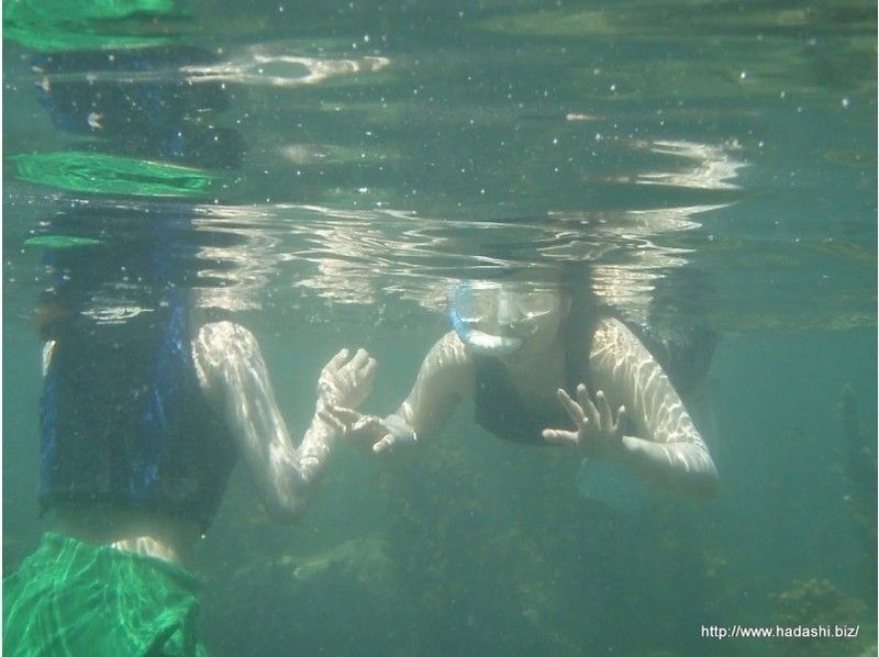 【宮崎・日南海岸】シュノーケル体験チャレンジ！子供向け！熱帯魚を見つけに行こう！