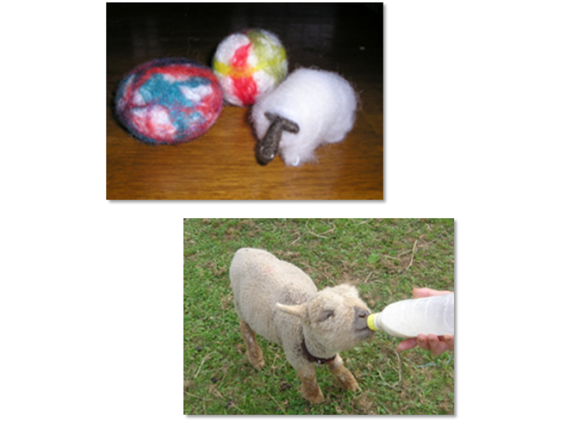 【北海道・ニセコ】羊蹄山のふもとでのんびりチクチク「羊毛フェルトコースター作り」体験プラン