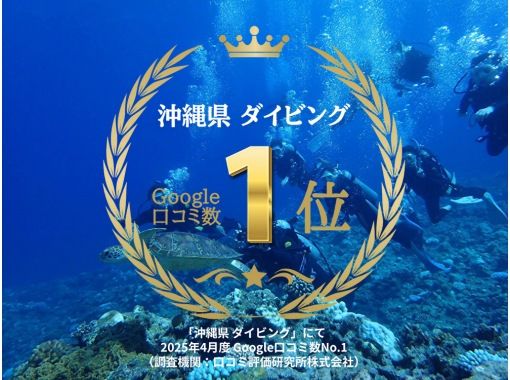 2025年4月度Google口コミ数「沖縄ダイビング」第1位！那覇発・半日慶良間諸島海ガメに逢える！？器材レンタル付！ファンダイビング2回の画像