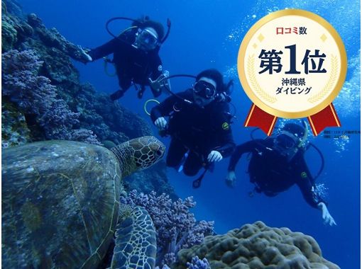 Google口コミ数第1位!【那覇発・半日・慶良間諸島】海ガメに逢える!?カメラレンタル付!沖縄屈指の透明度!初心者向け!安心体験ダイビング
