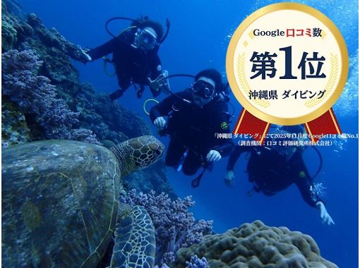 2025年4月度Google口コミ数「沖縄ダイビング」第1位！【那覇発・半日・慶良間諸島】海ガメに逢える!?カメラレンタル付！体験ダイビングの画像
