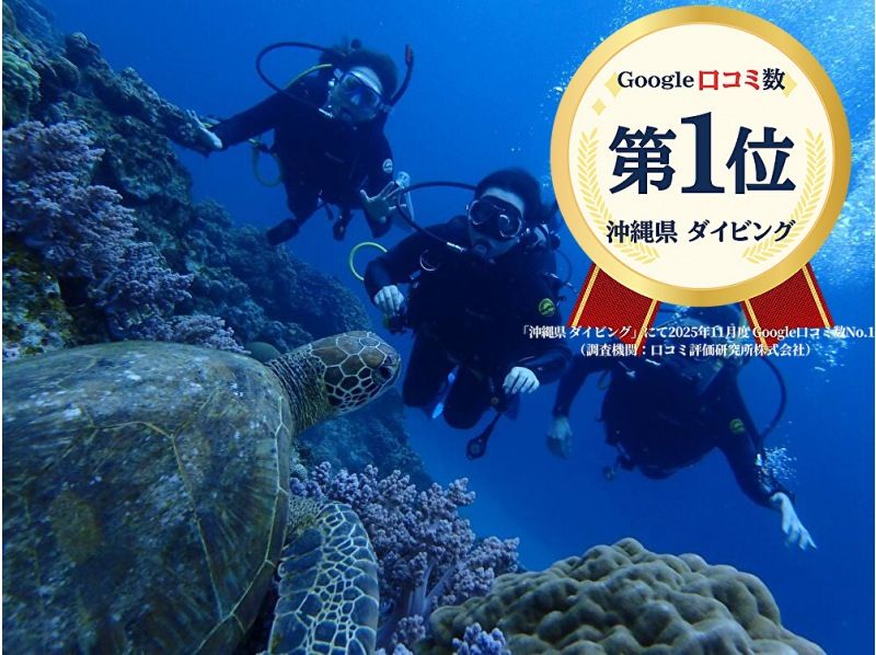 2025年4月度Google口コミ数「沖縄ダイビング」第1位！【那覇発・半日・慶良間諸島】海ガメに逢える!?カメラレンタル付！体験ダイビングの紹介画像