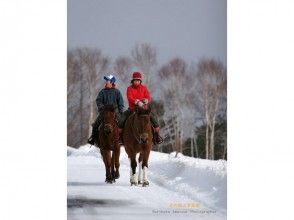 【北海道・登別】ホーストレッキング体験コース（45分）