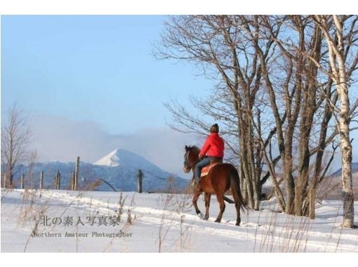 【北海道・登別】ホーストレッキング冬季外乗コース約60分＞の画像