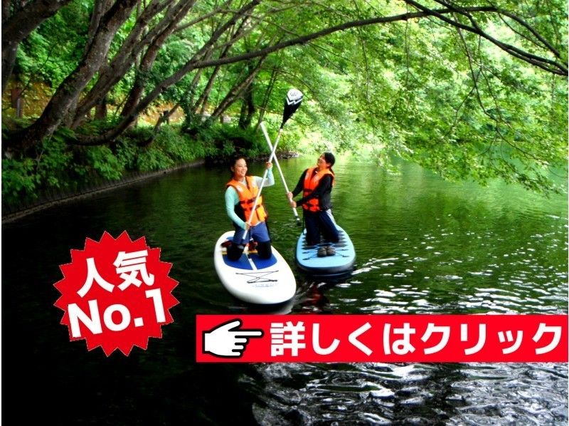 【森の湖で爽快SUPを体験】初心者レッスン&ガイド付き♪木崎湖ツアー(120分)