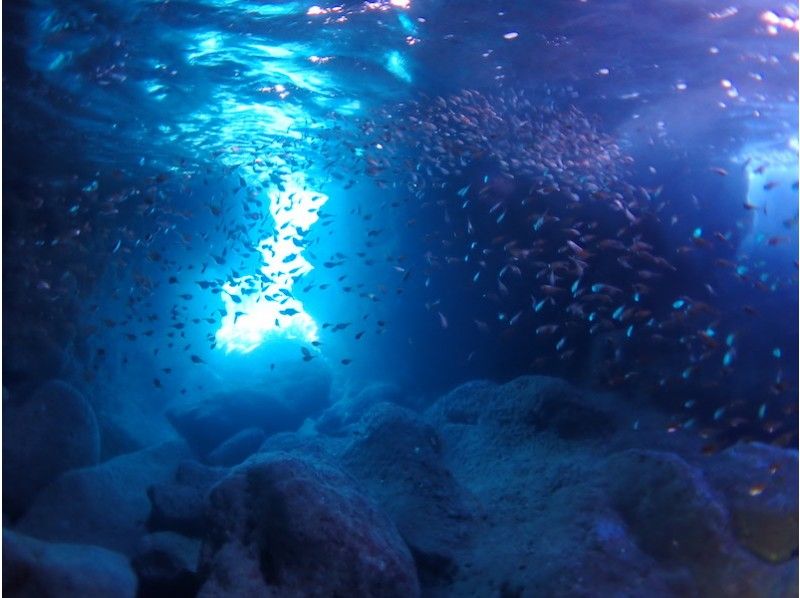 [โอกินาว่า-มิยาโกจิม่า] Blue cave & villas! หลักสูตรสอนดำน้ำเรือの紹介画像