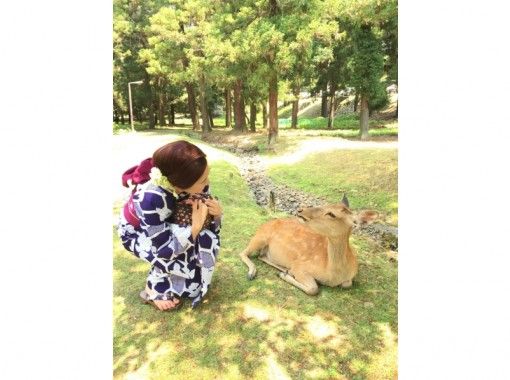 【奈良・JR奈良】奈良の夜を着物で散歩「きものレンタル・一泊」お出かけプランの画像