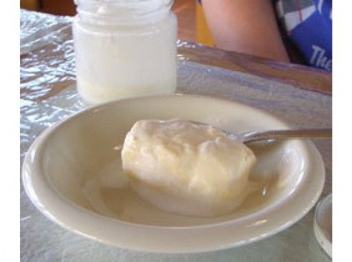 [北海道/美瑛]做黃油和冰淇淋！使用鮮榨牛奶進行食品加工的經驗（60分鐘）の画像