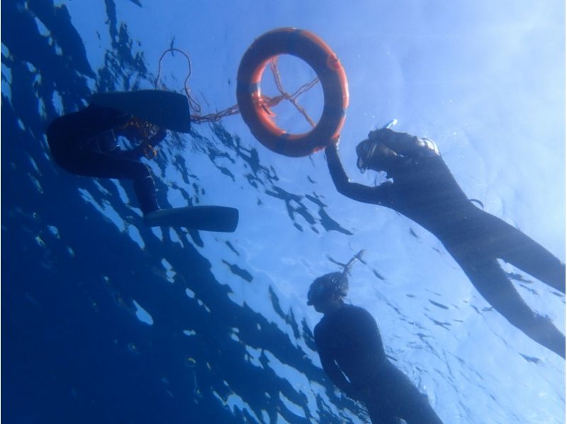 【伊豆諸島・八丈島】海ガメに会える島、八丈島でスノーケリング体験プラン