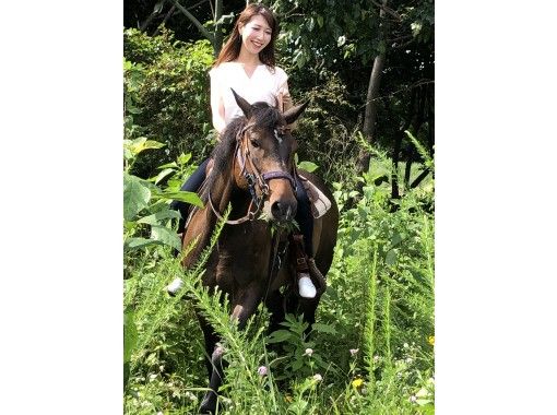 【Tokyo · Hino] Horse Trekking ♪ (90 mins) and Tea Time · Recommended Course For Slow Ridingの画像