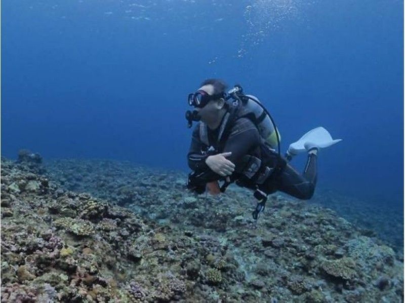 【沖縄・宮古島】サンセットファンダイビング　ライトレンタル込み（ビーチ開催）