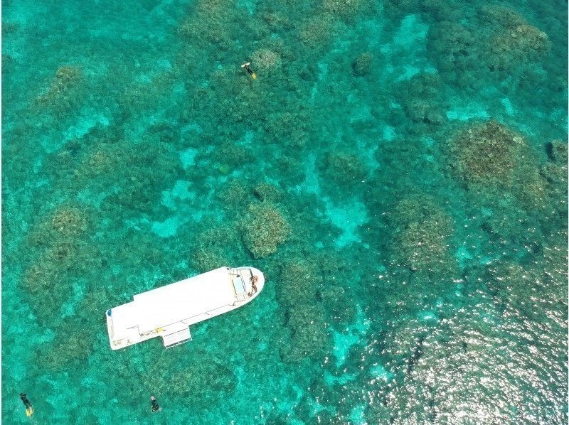 [Okinawa / Kohamajima] Churaumi snorkeling 2 points & phantom island (Hamajima) landing (1 day plan)の紹介画像
