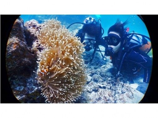 [Okinawa Obama Island] Experience Diving & Snorkeling & landing on a phantom island (1 day plan)の画像