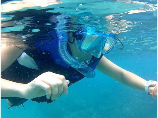 [Okinawa ・ Nago City] Healing and peace Okinawa To the sea of Snorkeling Experience (60 minutes)の画像