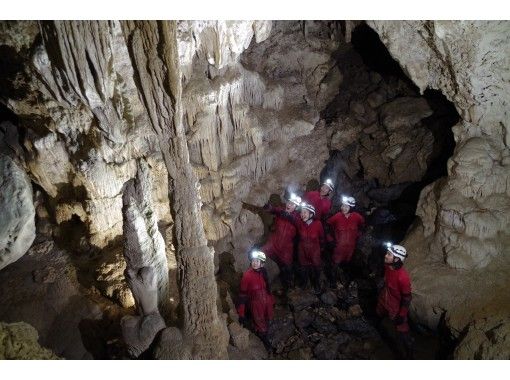 【沖縄・西表島】洞窟プロガイドが引率する本格ケイビング（洞窟探検）ツアーの画像