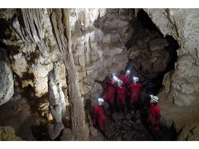 [โอกินาว่า・ เกาะอิริโอะโมะเตะทัวร์สำรวจถ้ำเต็มรูปแบบนำโดยไกด์มืออาชีพถ้ำの紹介画像