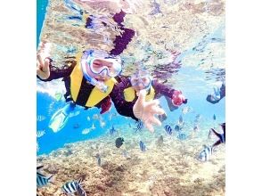 年齢制限なし♪貸切プラン【写真動画撮影・餌付け体験・タオル付】シュノーケリング【ジャングリア、美ら海近く】北部.名護.本部.瀬底島！