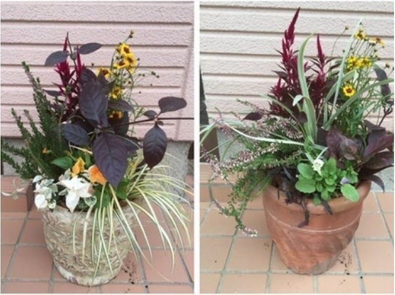 【栃木・宇都宮市】季節の草花寄せ植え体験★