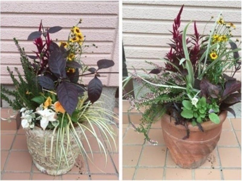 栃木 宇都宮 季節の草花寄せ植え体験 講師の丁寧なサポートで初心者も安心 アクティビティジャパン