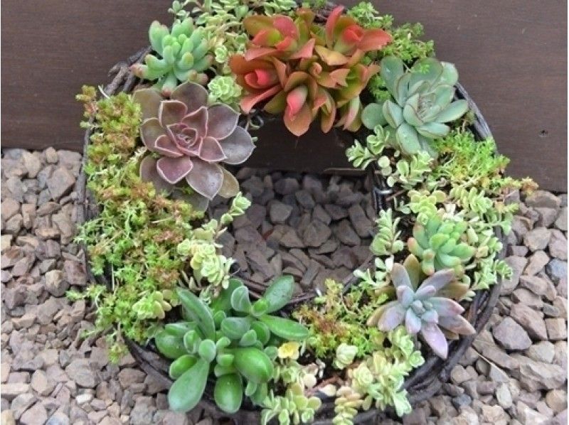 【栃木・宇都宮市】季節の寄せ植え！多肉リースを作ろう★