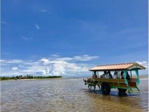 【Iriomote Island】 Well set! Canoe & Trekking + Yufushima Water Ox-cart Sightseeing courseの画像