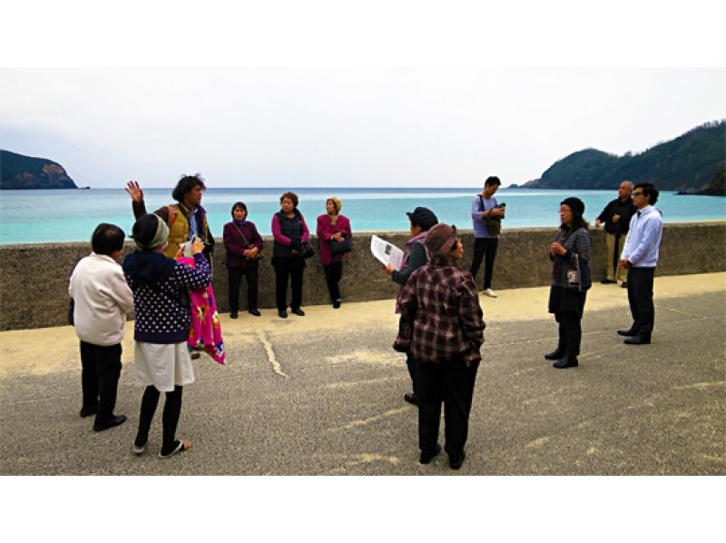 [Kagoshima/ Amami Oshima] sightseeing tour! "National village bra walking tour" to know the history of the island and people's livesの紹介画像