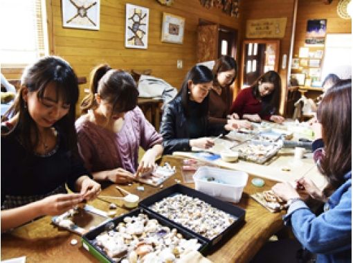 [鹿児島/Amami Oshima]使用海洋珠寶貝殼和海草進行手工藝品體驗之旅の画像