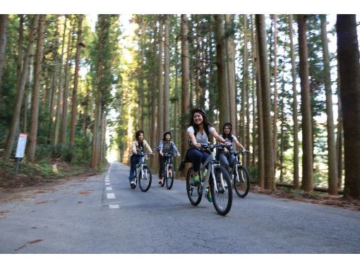 【Gifu · Gujo Hachiman】 Nagara river cycle cruise ♪ "Nature course" 3 hoursの画像