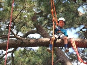 【Okinawa · Ishigakijima】 Exquisite time spent on trees ★ Tree on Cafe (Ishigakijima Island Landing Treeing)の画像