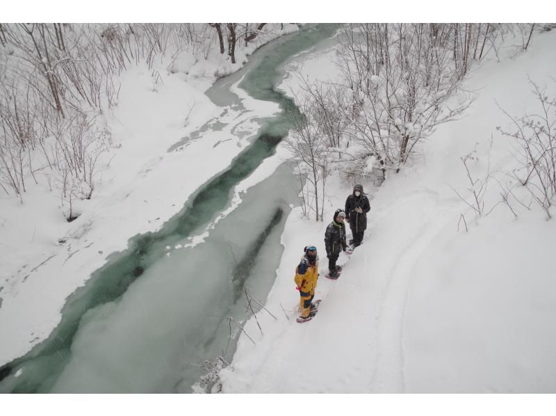 [Hokkaido Furano] Sanpo road of "morning limited"! Asa River Fushigi Snowshoe Experienceの紹介画像