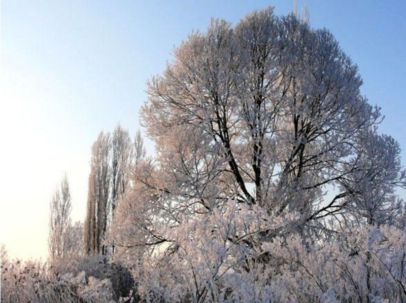 【北海道・富良野】「朝限定」のさんぽ道!アサの川のフシギスノーシュー体験