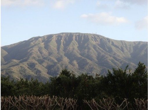 【東京・八丈島】三原山往復トレッキングの画像