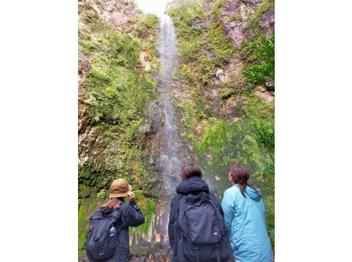 【東京・八丈島】唐滝トレッキングの画像