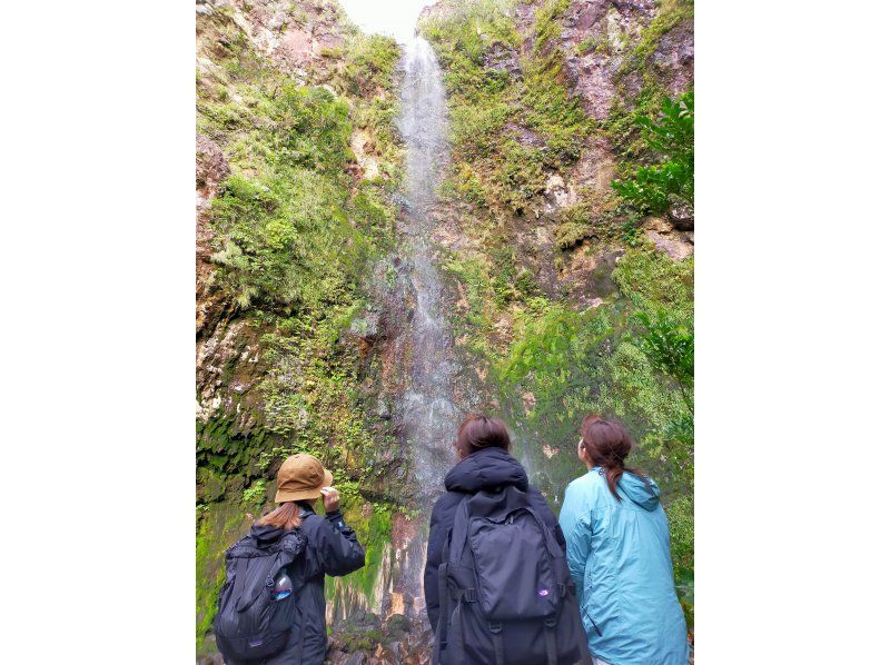 【北海道・SUP体験】透明度の高い支笏湖の湖面をクルージング！SUP体験（半日コース）の画像