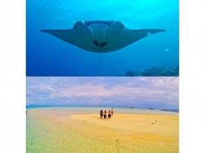 [Okinawa Ishigaki Island] Super summer sale in progress! ★Two popular snorkeling spots★Manta sea turtle + phantom island + landing lunch included★ Free equipment!