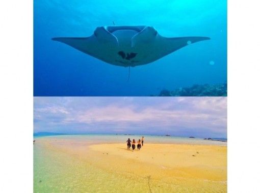 [Okinawa, Ishigaki Island] ★Two popular snorkeling spots☆Manta turtles Free equipment rental! MSの画像