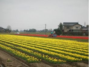 【富山・砺波】電動アシスト付自転車で巡る！となみ野を旅するガイドツアーの画像